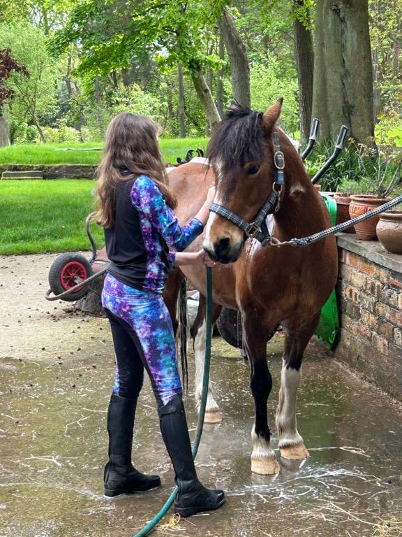 Pony for Sale Lead Rein/Second Pony