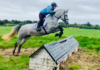 Silver - Perfect First Pony – Safe, Sweet & Steady
