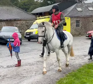 Lovely Full Draught Mare 