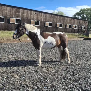 FUN HAPPY HACK/ RC 