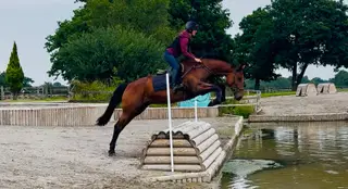 The Mare Everyone Wants – Safe, Straightforward, Talented & Unflappable