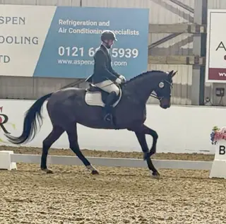 ***REDUCED PRICE*** Talented RoR All-Rounder Ready to Excel in Any Sphere