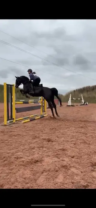 Reduced for quick sale 