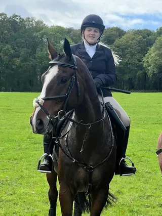 Perfect family horse