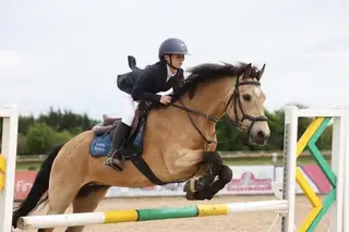 Stunning Connemara Gelding with potential 