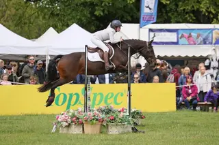THE ULTIMATE ROSETTE MACHINE – Talented 14hh Schoolmistress 