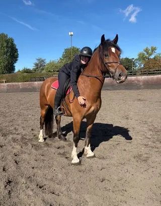 Eye Catching 6 year old Welsh Section D
