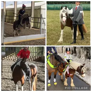 Pony Club Allrounder