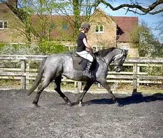 Fabulous future prospect