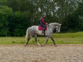 Advert photo