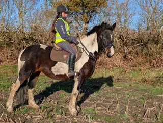 Summer - Super Sensible Cob