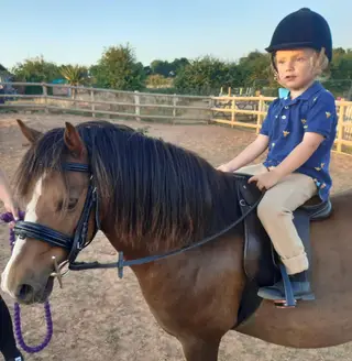 Stunning family pony, ready for a new best friend.