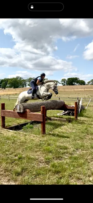 Dream PC/ Eventing pony