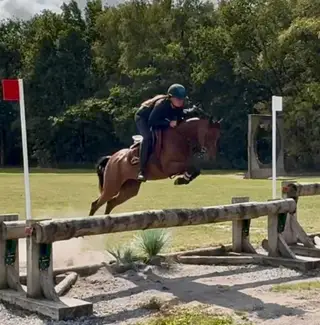 Outstanding competition, Pony