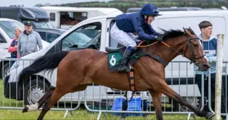Racing Pony