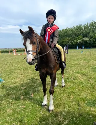HOYS Potential & Brilliant Allrounder