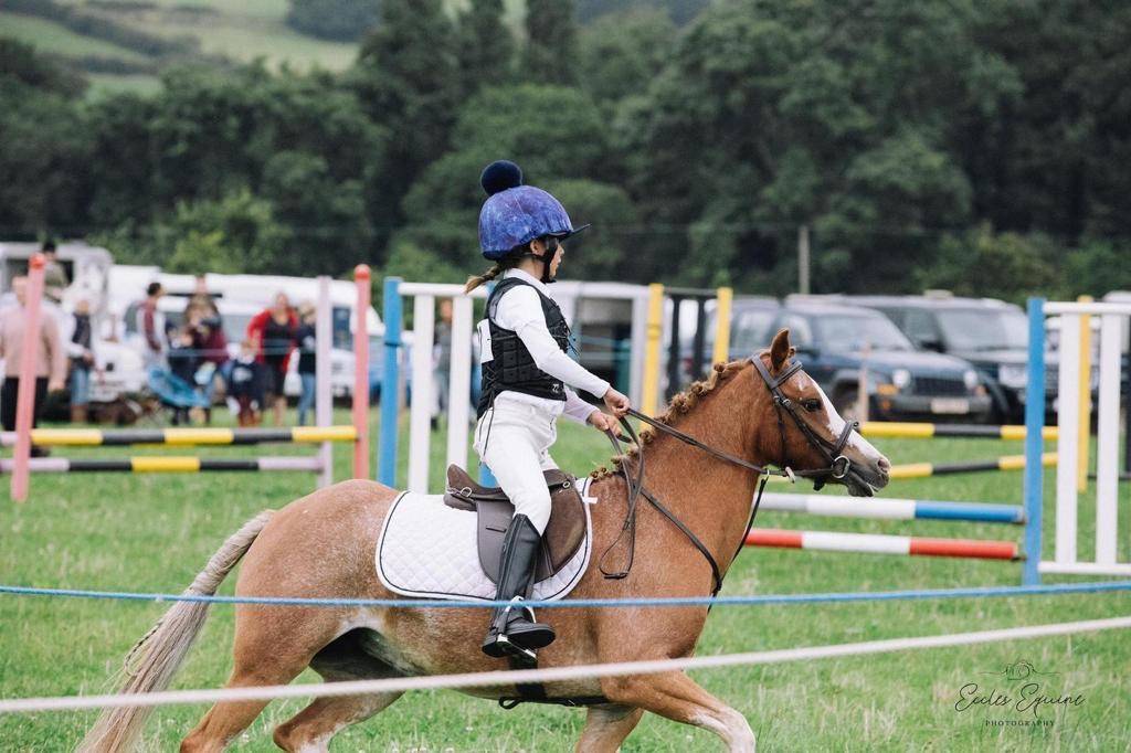 Pony for Sale Super safe childs pony