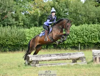 PC/ Teenagers allrounder