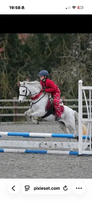 Kind & Genuine pony