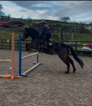 Low level pc pony and hacking