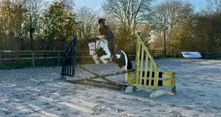 Child’s dream pony