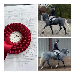 FANTASTIC GENUINE ALLROUNDER / RIDING CLUB