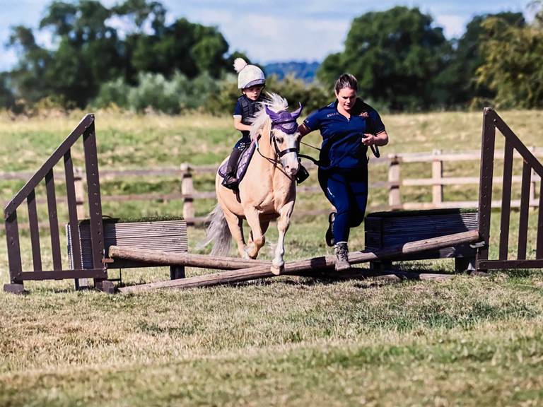 Pony for Sale Perfect Lead Rein pony for sale