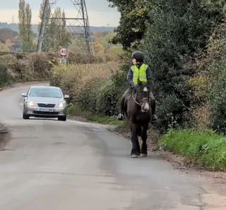 Betsy - Super Quiet Cob