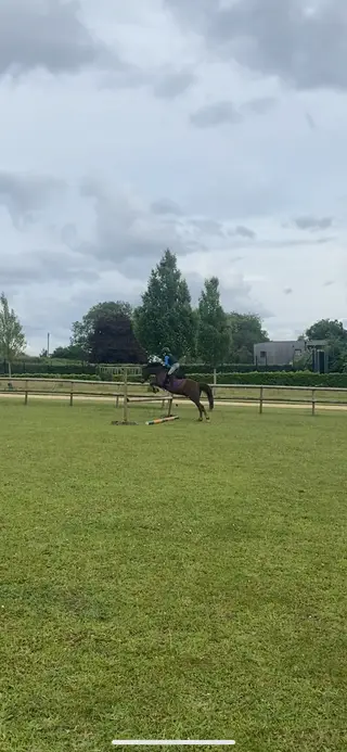 Scopey 12.2 Welsh Section B