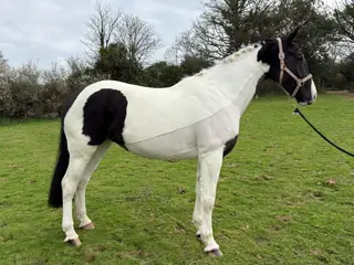 Cracking Blank Canvas