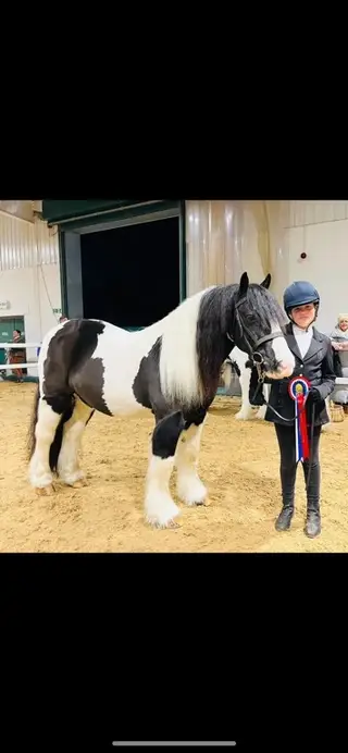 Super safe cob 