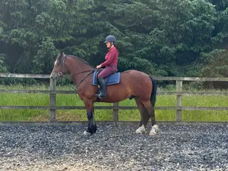 Abergavenny Legacy - A Quality stamp of a Cob