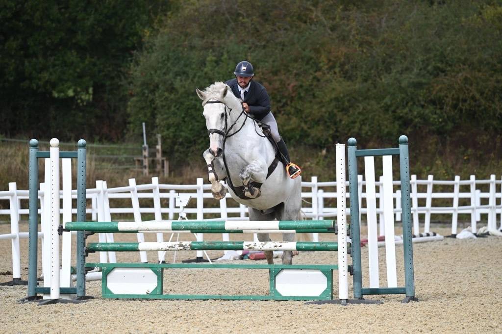 Horse for Sale HALLO SANTORINI HANDSOME IRISH SCHOOLMASTER