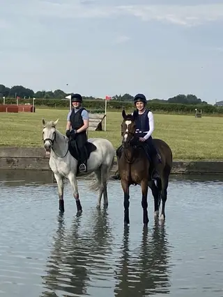 Gorgeous temperament 