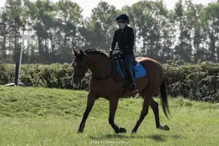 Advert photo