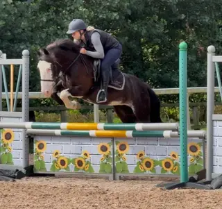 The Ultimate Pony Club All-Rounder- TALLULAH
