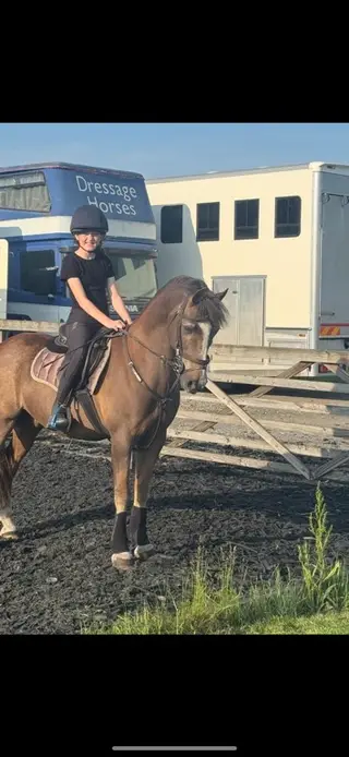 Fantastic confident giver all rounder pony 