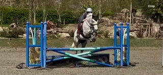 Versatile Connemara
