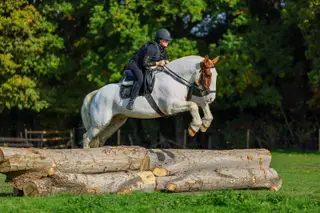 Ultimate Confidence-Giving Cob