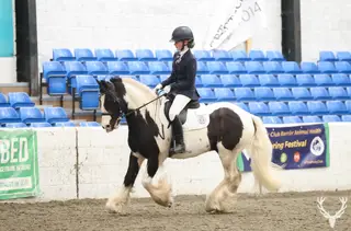 Super PC Pony