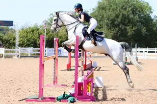 Charlie 148 / 14.2hh 12YO Gelding. BS, NSEA, PC.
