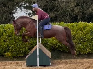  ⭐️ Rosette-Winning PC & XC Superstar ⭐️