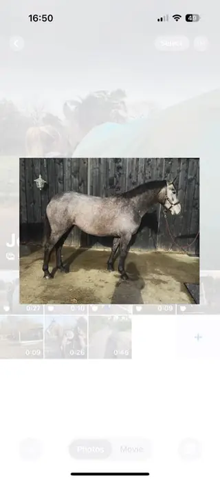 Talented Connie x TB