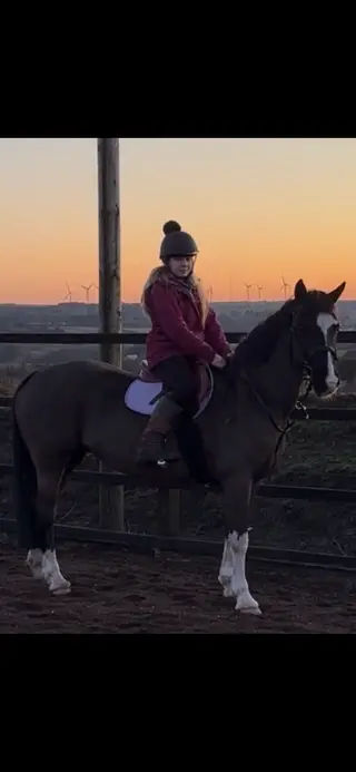 Experienced 138 PC/SJ/XC