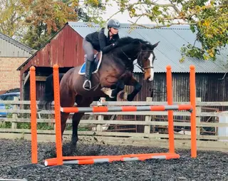 Lovely Uncomplicated All-Rounder