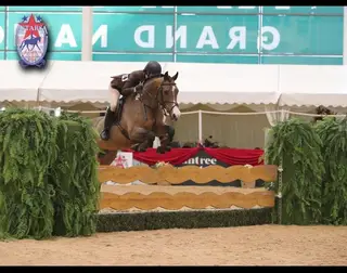 Lovely 15.1hh schoolmistress