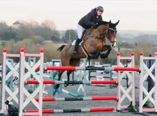 Super Talented Showjumping Mare (Chabbachon x Balou du Rouet)