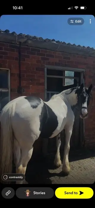 Beautiful traditional cob, happy hacker