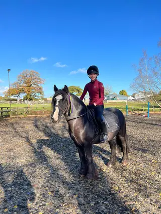 Safe & Reliable Family Pony 