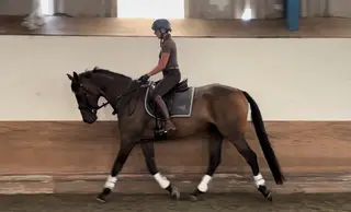 French TB ROR